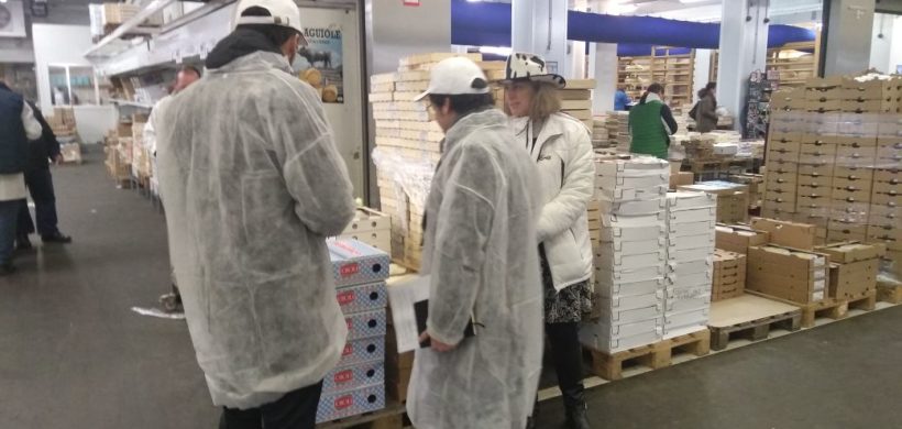 La misión técnica de ProMendoza ya se encuentra en Francia