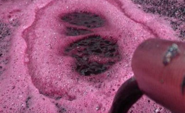 Vinos a granel de Mendoza al mundo: se viene el primer Wine Tour con importadores