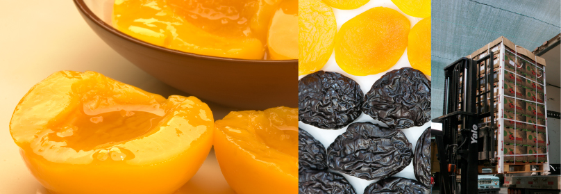 Alimentos Procesados