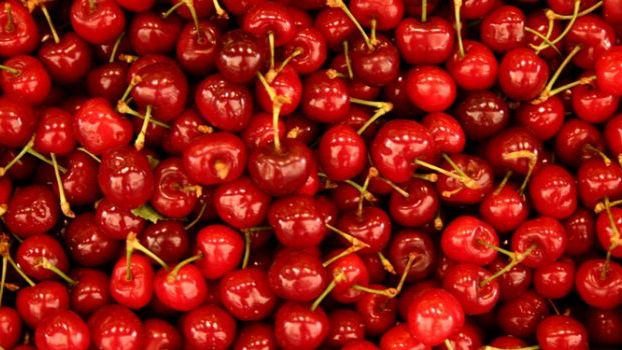 Mendoza en vías de cerrar protocolo de exportación de cerezas a China Mendoza en vías de cerrar protocolo de exportación de cerezas a China