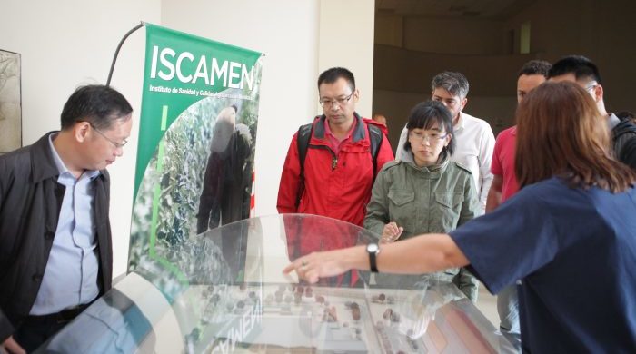 Se firmó un protocolo para exportar cerezas mendocinas a China