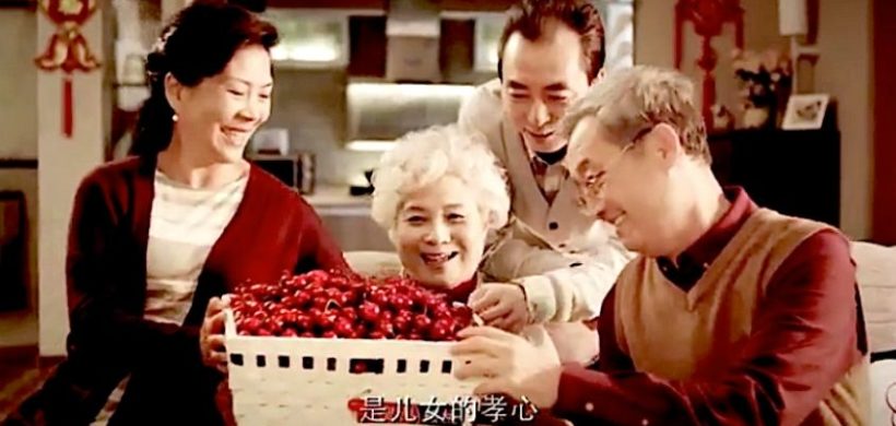 Apertura china a las cerezas: por qué tener todo listo antes de febrero
