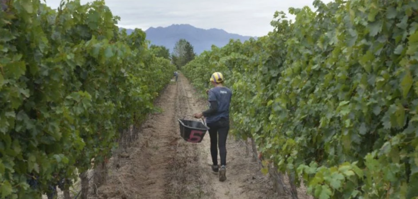 La relación con Brasil: qué sucederá con los productos mendocinos