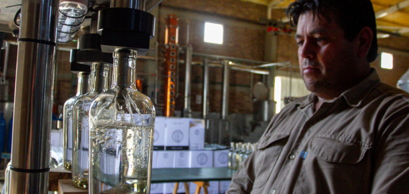 Destilados: en Mendoza se recupera el sector y apunta a las exportaciones Destilados: en Mendoza se recupera el sector y apunta a las exportaciones