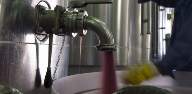 Exportaciones: 2019 fue un buen año para la vitivinicultura mendocina