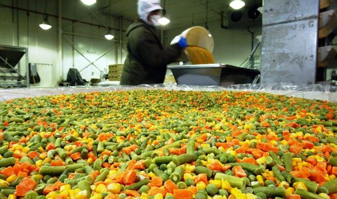 La exportación de hortalizas industrializadas mantiene un crecimiento sostenido
