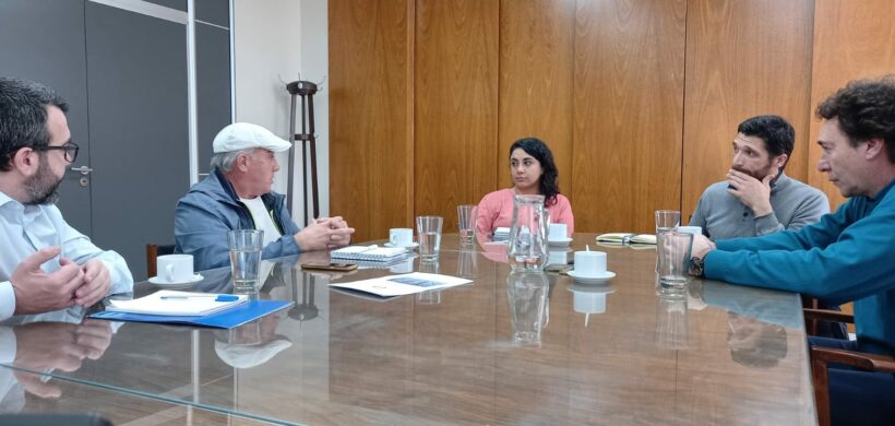 Exportación de ajos: Economía reunió a referentes del sector para reforzar la llegada de este producto a Brasil