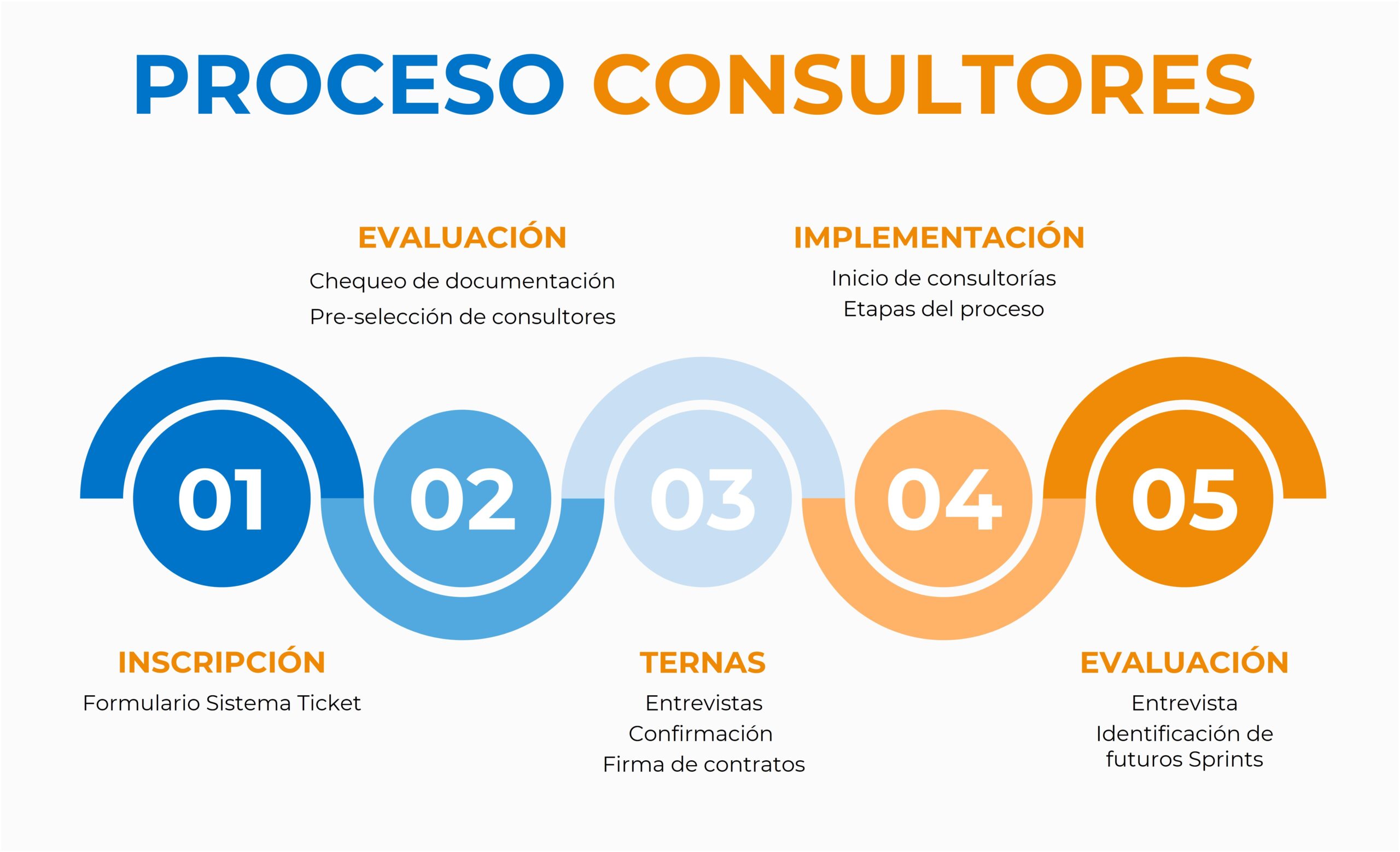 Proceso para consultores