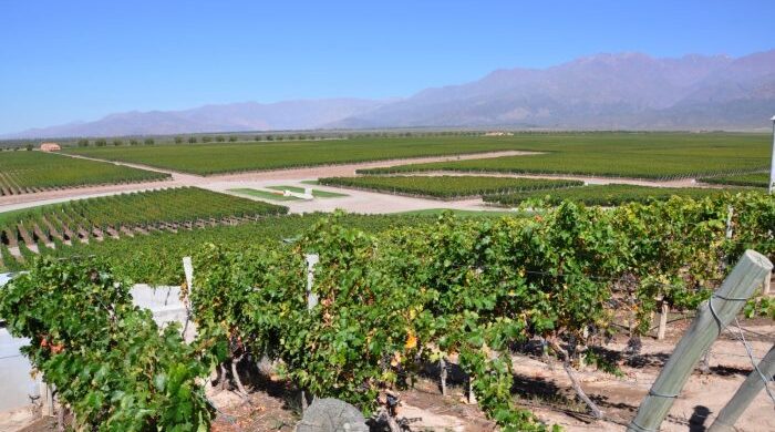 Nuestra provincia, en la agenda mundial del vino